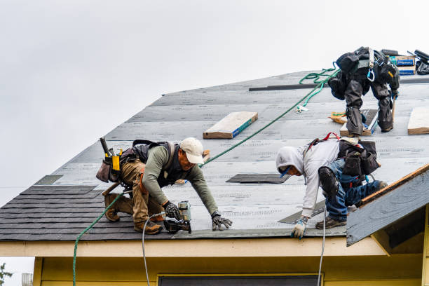 Professional Gutter Installation technician working in San Antonio, FL